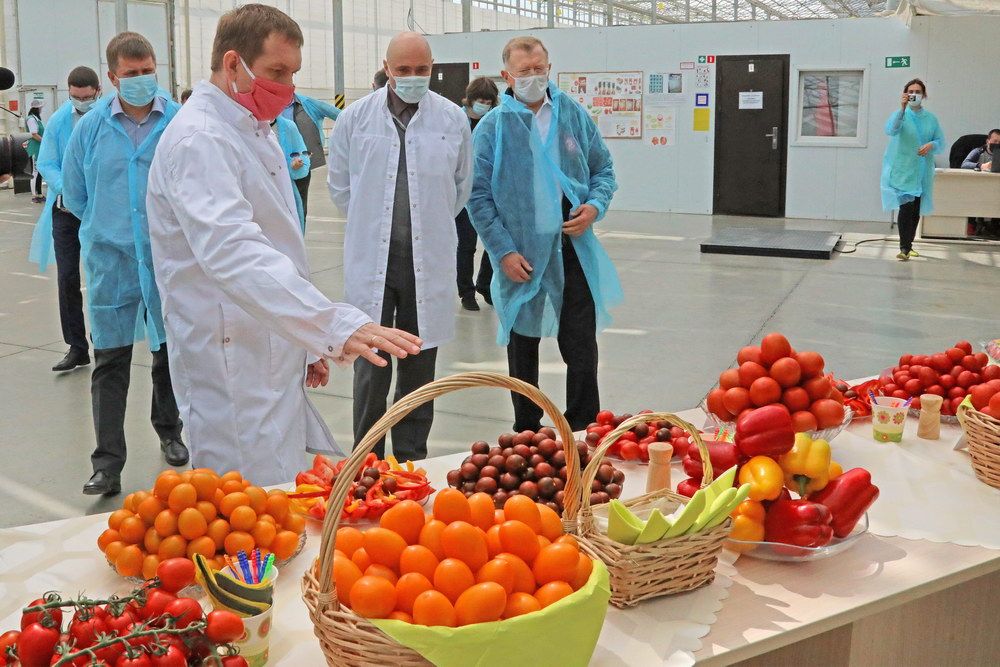 Экономика Экономика